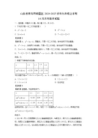 2024-2025学年山东省青岛市即墨区九年级(上)10月月考数学试卷(解析版)