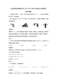 2023-2024学年山东省烟台市莱州市七年级(上)期中数学试卷(解析版)