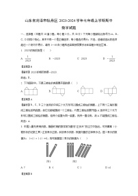 2023-2024学年山东省菏泽市牡丹区七年级(上)期中数学试卷(解析版)