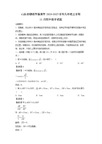 2024-2025学年山东省聊城市临清市九年级(上)11月期中数学试卷(解析版)