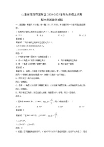 2024-2025学年山东省菏泽市定陶区九年级(上)期中数学试卷(解析版)