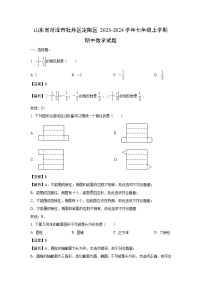 2023-2024学年山东省菏泽市牡丹区定陶区七年级(上)期中数学试卷(解析版)