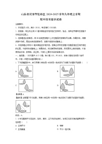 2024-2025学年山东省菏泽市牡丹区九年级(上)期中联考数学试卷(解析版)