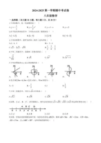广东省河源市龙川县实验中学2024—2025学年八年级(上)第一次月考数学试卷(含答案)