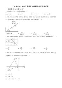 河北省衡水市第三中学2024～2025学年九年级(上)期中数学试卷(含答案)