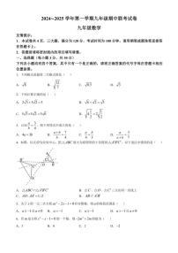 河南省洛阳市宜阳县2024～2025学年九年级(上)期中数学试卷(含答案)