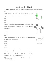 广东省揭阳市七校联考2024-2025学年八年级上学期期中数学试卷