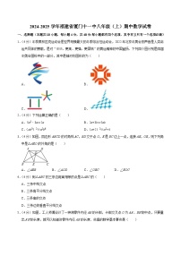 福建省厦门市第十一中学2024-2025学年八年级上学期期中数学试卷