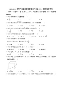 广东省河源市紫金县2024-2025学年八年级上学期期中数学试卷