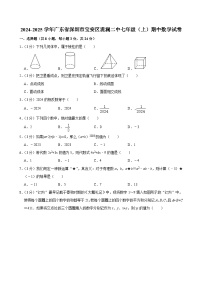 广东省深圳市宝安区观澜二中2024-2025学年七年级上学期期中数学试卷