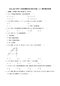 广东省河源市龙川县2024-2025学年九年级上学期期中数学试卷