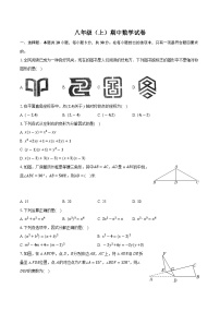 广东省惠州市七校联考2024-2025学年八年级上学期期中考试数学试卷