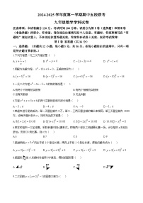 天津市滨海新区塘沽五校联考2024-2025学年九年级上学期11月期中数学试题(无答案)