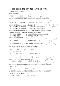 辽宁省沈阳市第四十三中学2024-2025学年七年级上学期数学期中考试卷