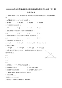 江苏省盐城市亭湖区鹿鸣路初级中学2023-2024学年八年级上学期期中数学试卷