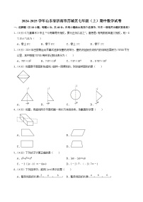 山东省济南市历城区2024-2025学年七年级上学期期中数学试卷