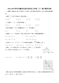 安徽省合肥市包河区2024-2025学年九年级上学期期中数学试卷