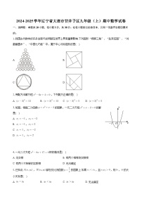 辽宁省大连市甘井子区2024-2025学年上学期九年级期中数学试卷