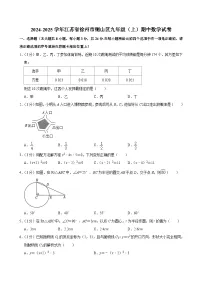 江苏省徐州市铜山区2024-2025学年九年级上学期期中数学试卷