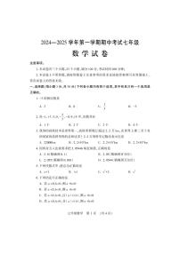 河南省洛阳市嵩县2024-2025学年七年级上学期期中考试数学试卷