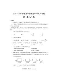 河南省洛阳市嵩县2024-2025学年九年级上学期期中考试数学试卷