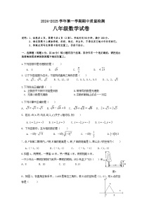 广东省深圳市宝安区振兴学校2024-2025学年八年级上学期期中模拟数学试题