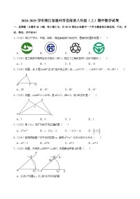 浙江省温州市苍南县 2024-2025学年八年级上学期期中数学试卷