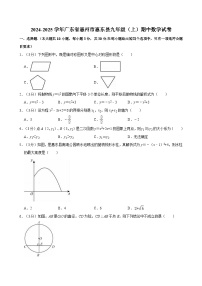 广东省惠州市惠东县2024-2025学年上学期九年级期中数学试题