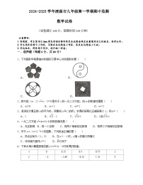 辽宁省朝阳市凌源市2024-2025学年九年级上学期11月期中数学试题