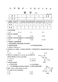 河南省周口市淮阳区2024-2025学年八年级上学期数学月考试卷