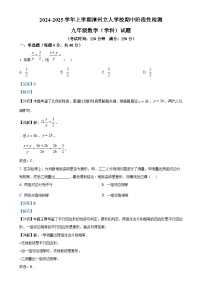 福建省漳州市芗城区漳州立人学校2024-2025学年九年级上学期11月期中数学试题（解析版）-A4