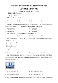 福建省漳州市芗城区漳州立人学校2024-2025学年九年级上学期11月期中数学试题（原卷版）-A4