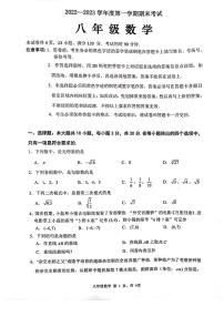 广东省茂名市2022-2023学年八年级上学期期末考试数学试题（含答案）