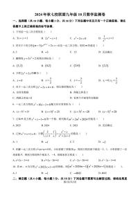 湖北武汉黄陂区七校联盟2024年九年级上学期10月月考数学试题（原卷版+解析版）