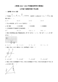 福建莆田荔城区2022-2023年七年级下学期数学期中考试卷+答案
