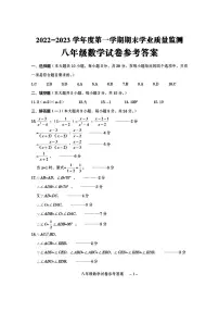 广东省汕尾市海丰县2022-2023学年八年级上学期期末考试数学试题