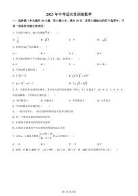 2023年广东省广州市实验中学中考二模数学试题（原卷版+解析版）