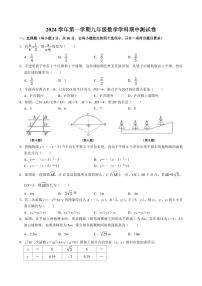 浙江省宁波市鄞州区十二校联考2024-2025学年九年级上学期11月月考数学试题