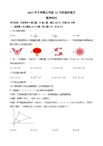 长沙市雅礼集团2023-2024学年九年级上学期第三次月考数学试题（原卷及解析版）