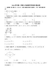 浙江省宁波市鄞州区十二校联考2024-2025学年九年级上学期11月月考数学试题