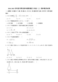 四川师大附中教育集团2024-2025学年八年级上学期期中考试数学试卷