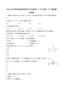 2023-2024学年吉林省松原市宁江区油田十二中九年级（下）期初数学试卷（含解析）