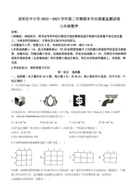 广东省深圳市龙华区2022-2023学年七年级下学期期末数学试题（含答案）