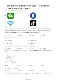广东省梅州市兴宁市2022-2023学年七年级下学期期末数学试题（原卷版+解析版）