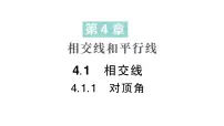 华东师大版（2024）1. 对顶角作业ppt课件