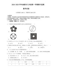 辽宁省朝阳市凌源市2024～2025学年九年级(上)期中数学试卷(含答案)