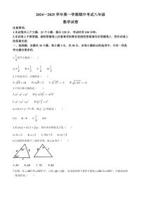 河南省洛阳市嵩县2024～2025学年八年级(上)期中数学试卷(含答案)