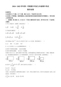 河南省洛阳市嵩县2024～2025学年九年级(上)期中数学试卷(含答案)