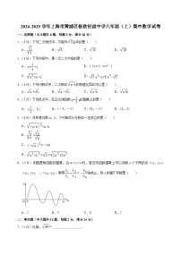 上海市格致初级中学2024-2025学年八年级上学期11月期中考试数学试题