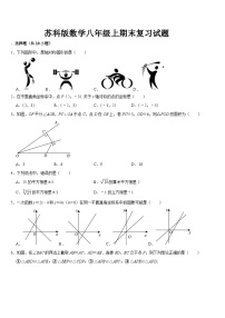 2024--2025学年人教版七年级数学上册期末复习试题